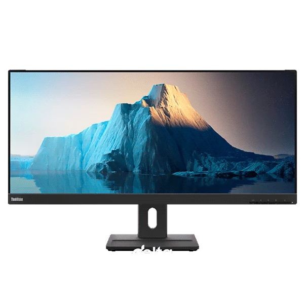 Lenovo ThinkVision E29w-20 QHD Monitor 62CEGAT3EU