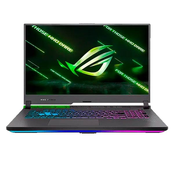 Asus ROG Strix G17 G713RM-KH100
