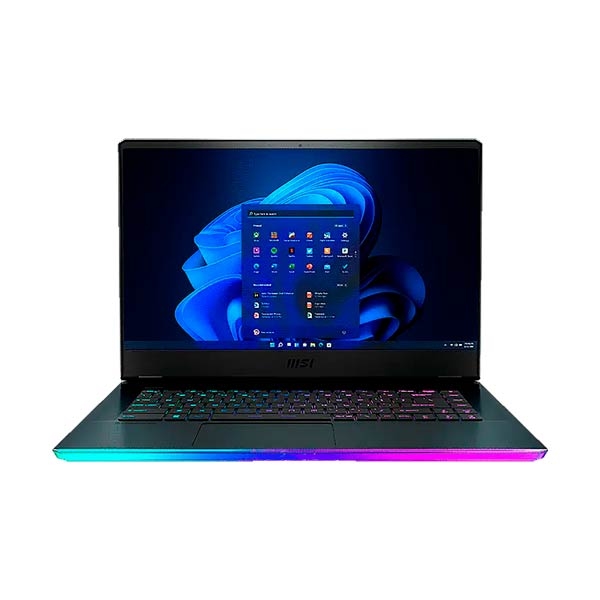 MSI Raider GE66 12UHS-236US