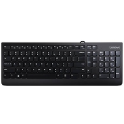 Lenovo 300 USB Keyboard  Keyboard GX30M39684