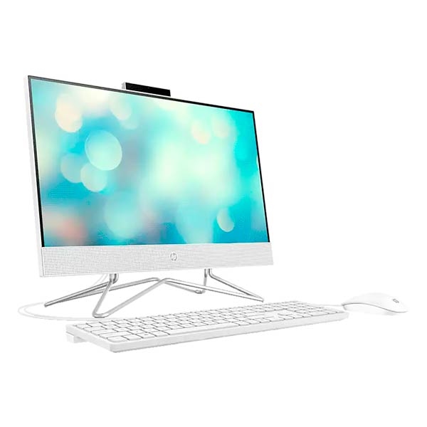 HP All-in-One 24-df1059ny 4X5F2EA PC
