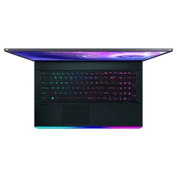 MSI Raider GE66 12UHS-236US