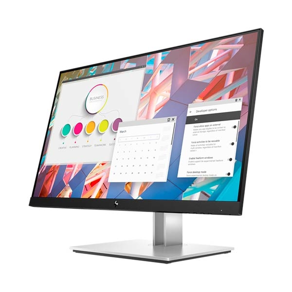 HP E24 G4 FHD Monitor 9VF99AA