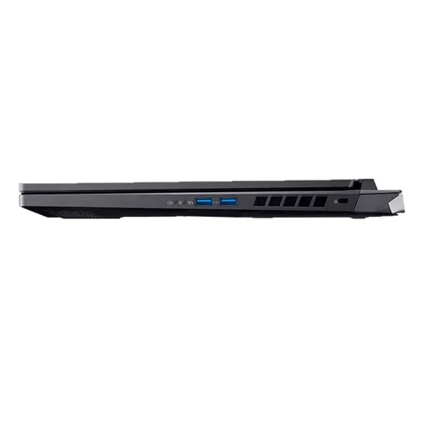 Acer Nitro 17 AN17-42-R9TH NH.QPAAA.001