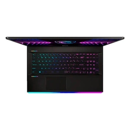 MSI Raider GE77HX 12UHS-074US Gaming Laptop