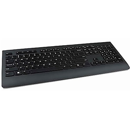 Lenovo Professional Wireless Rechargeable Keyboard  Russian/Cyrillic 4Y41K04059