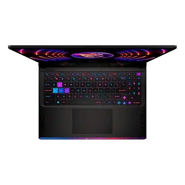 MSI Raider GE78HX 13VH-080US Gaming Laptop
