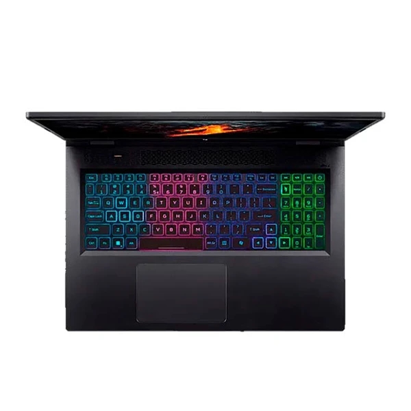 Acer Nitro 17 AN17-42-R9TH NH.QPAAA.001