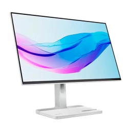 Lenovo L24m-4A Full HD Monitor 67BDUAC6EU