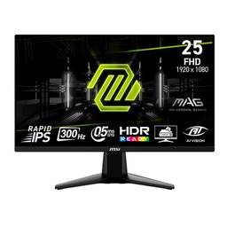 MSI MAG 255XF 25" FHD 300Hz Flat Gaming Monitor