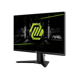 MSI MAG 255XF 25" FHD 300Hz Flat Gaming Monitor