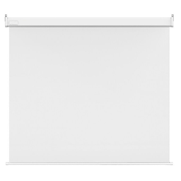 Motorized projector Screen 96" (244sm x 244sm)