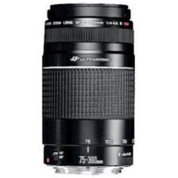 Canon EF 75-300mm f/4-5.6 III