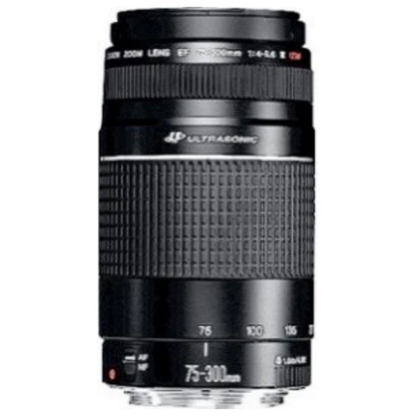 Canon EF 75-300mm f/4-5.6 III