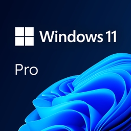 Windows 11 PRO 64Bit Eng International 1pk DSP OEI DVD (FQC-10528)