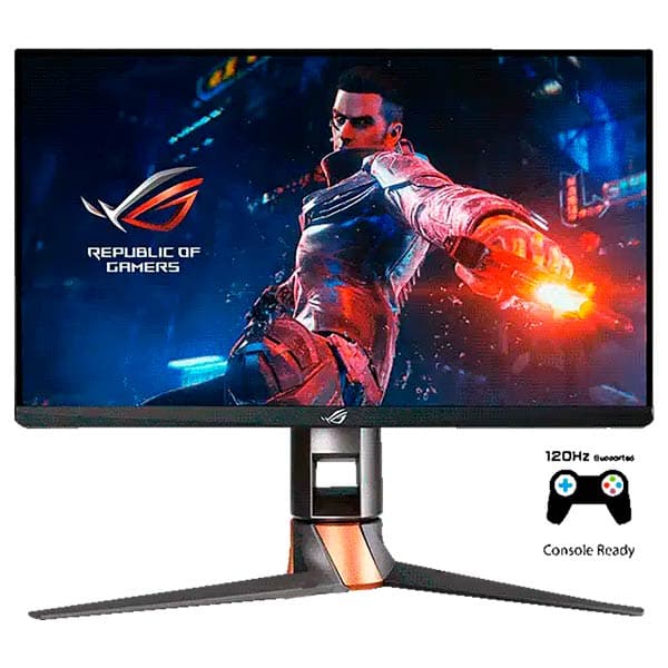 ASUS ROG Swift PG259QN 360Hz Gaming Monitor