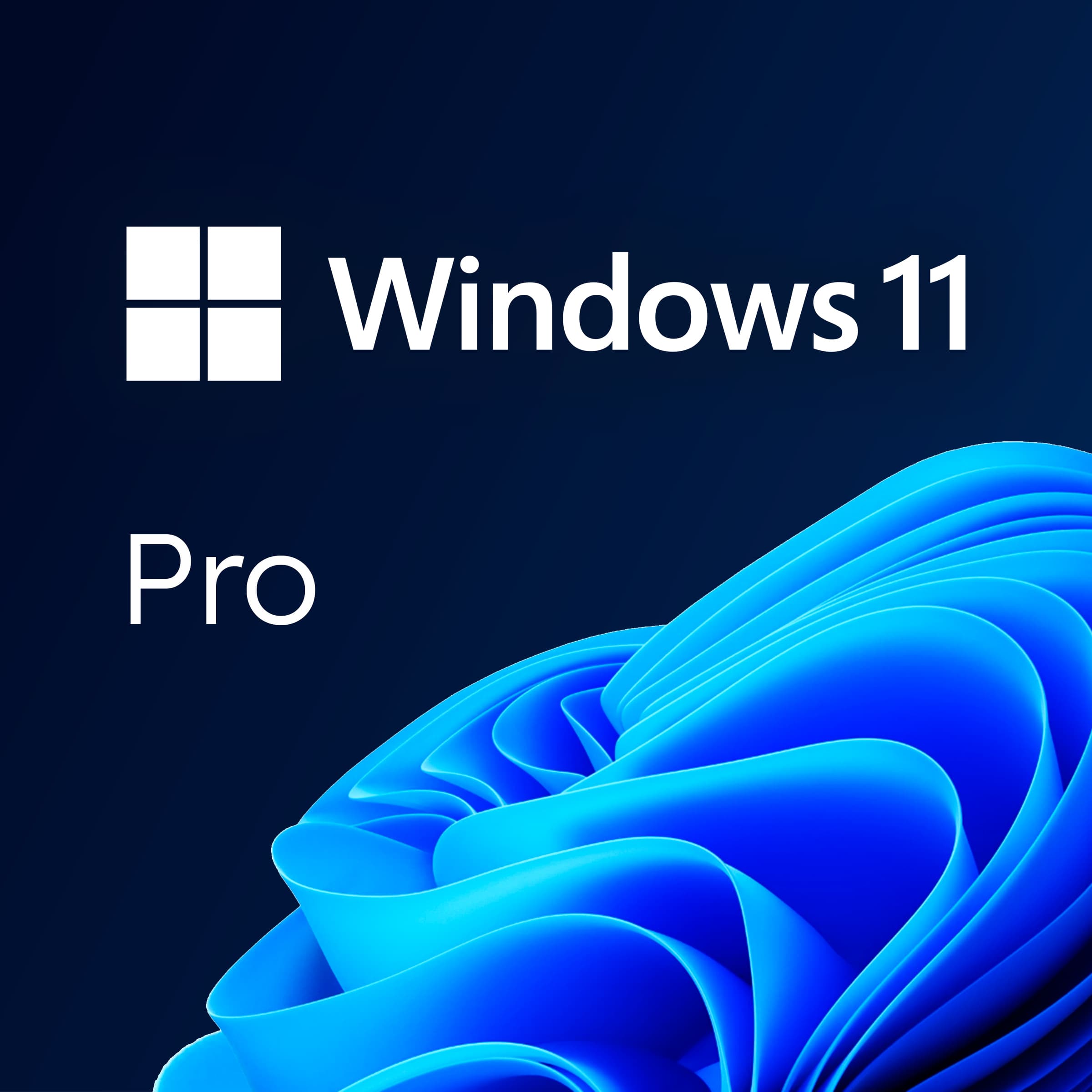 Windows 11 PRO 64Bit Eng International 1pk DSP OEI DVD (FQC-10528)